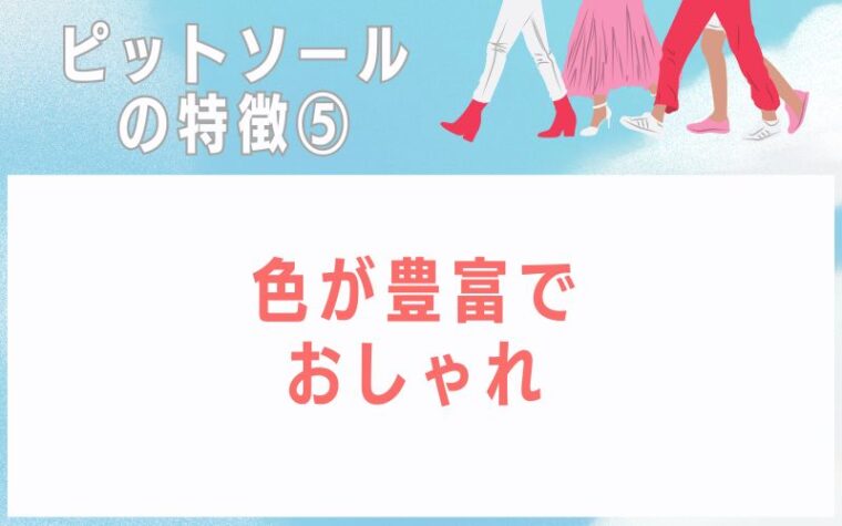 ピットソールの特徴5 色が豊富でおしゃれ