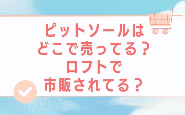 ピットソールはどこで売ってる?ロフトで市販されてる?